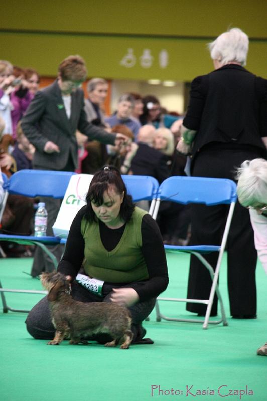 Crufts2011_2 964.jpg